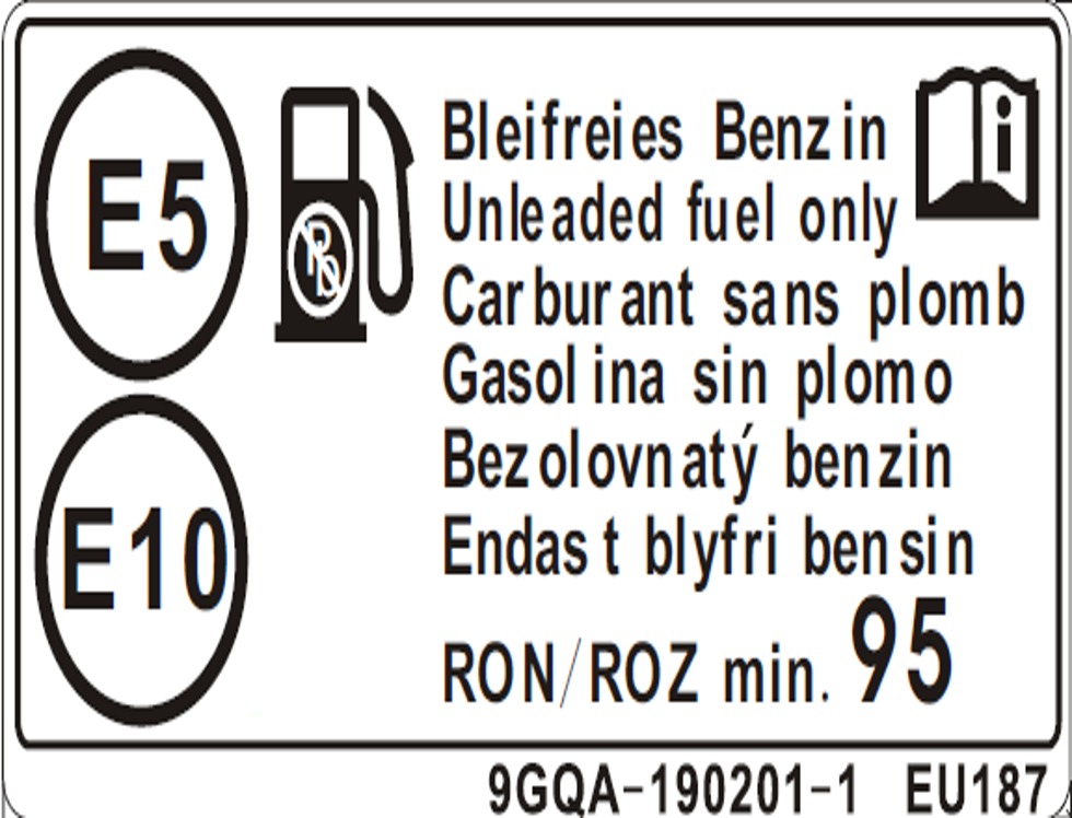 3f3W77zVuo_F19-6 (1).jpg